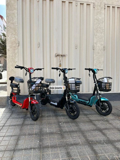 Vue 3 de Cyclomoteur XMD 400 Lithium 48V 15Ah – EMOVE
