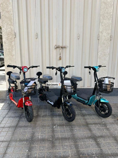 Vue 4 de Cyclomoteur XMD 400 Lithium 48V 15Ah – EMOVE