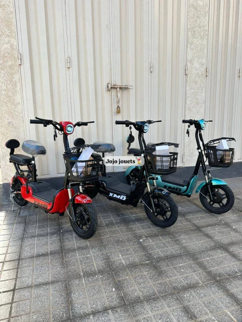 Vue 5 de Cyclomoteur XMD 400 Lithium 48V 15Ah – EMOVE