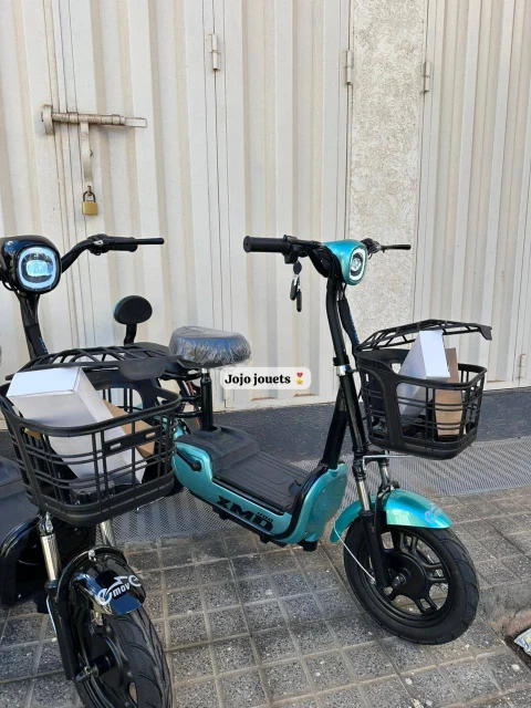 Vue 6 de Cyclomoteur XMD 400 Lithium 48V 15Ah – EMOVE