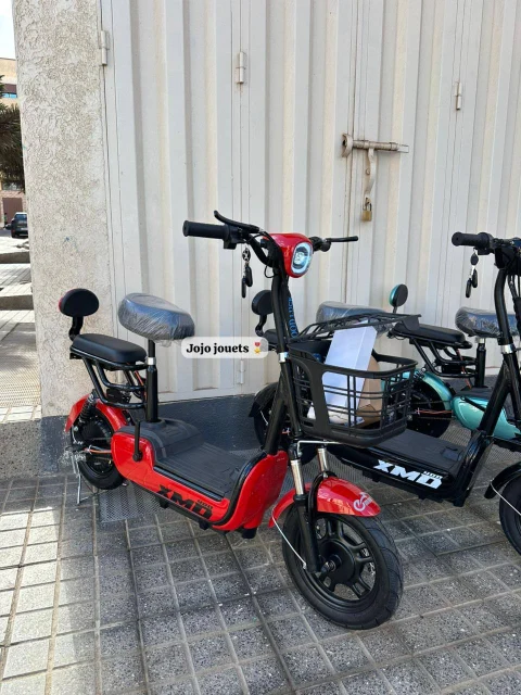 Vue 8 de Cyclomoteur XMD 400 Lithium 48V 15Ah – EMOVE