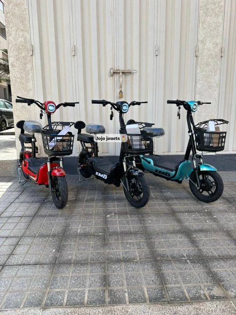 Vue 9 de Cyclomoteur XMD 400 Lithium 48V 15Ah – EMOVE