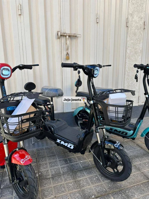 Vue 10 de Cyclomoteur XMD 400 Lithium 48V 15Ah – EMOVE