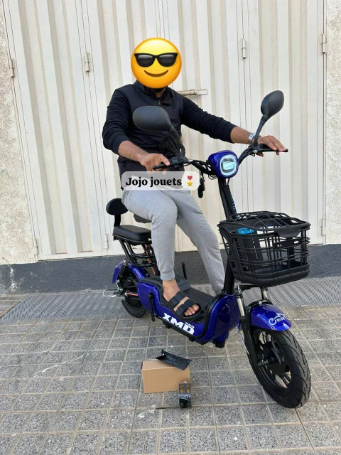 Vue 11 de Cyclomoteur XMD 400 Lithium 48V 15Ah – EMOVE