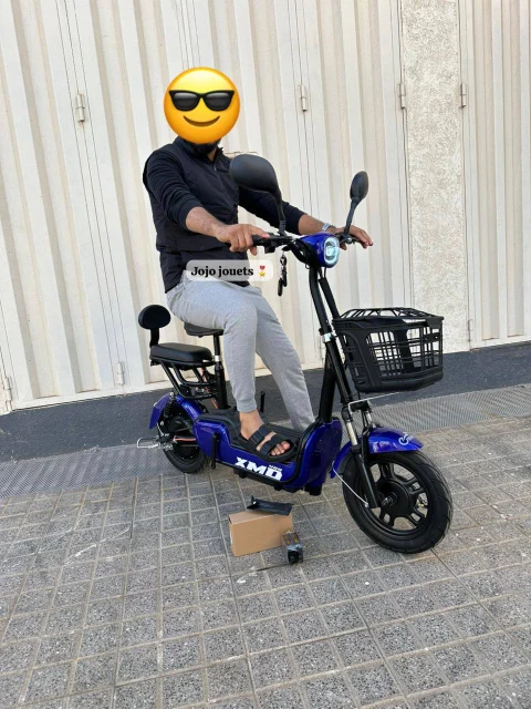 Vue 12 de Cyclomoteur XMD 400 Lithium 48V 15Ah – EMOVE