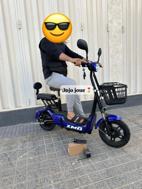 Vue 13 de Cyclomoteur XMD 400 Lithium 48V 15Ah – EMOVE