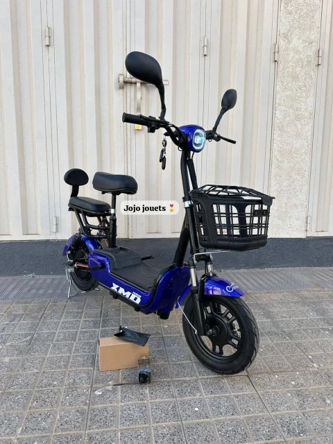 Vue 14 de Cyclomoteur XMD 400 Lithium 48V 15Ah – EMOVE