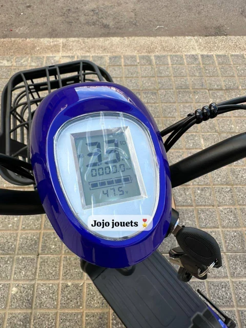 Vue 15 de Cyclomoteur XMD 400 Lithium 48V 15Ah – EMOVE