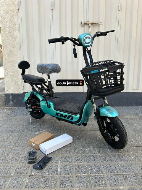 Vue 18 de Cyclomoteur XMD 400 Lithium 48V 15Ah – EMOVE