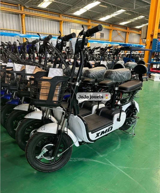 Vue 22 de Cyclomoteur XMD 400 Lithium 48V 15Ah – EMOVE