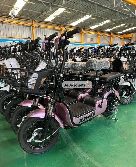Vue 23 de Cyclomoteur XMD 400 Lithium 48V 15Ah – EMOVE