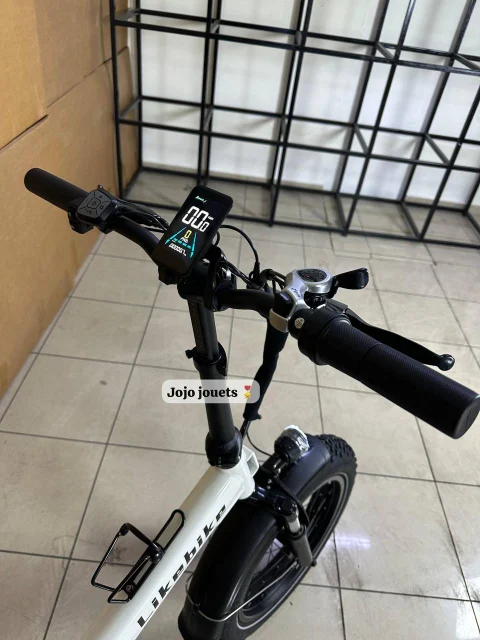 Vue 8 de Vélo Électrique SHINE Professional Focus Pliable 48V - LIKEBIKE
