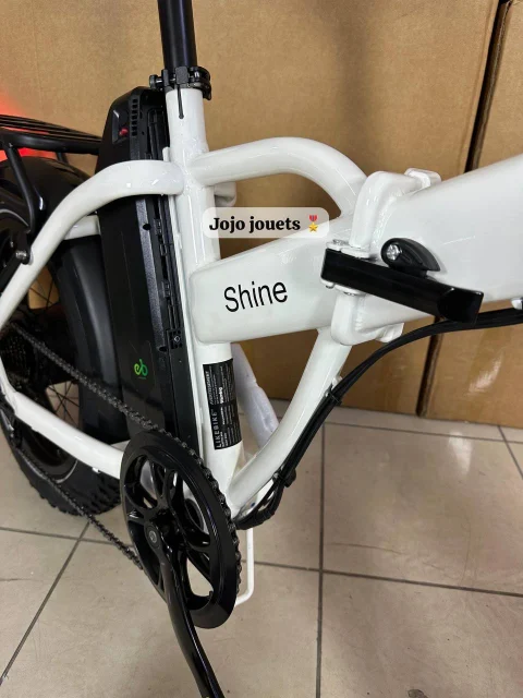 Vue 10 de Vélo Électrique SHINE Professional Focus Pliable 48V - LIKEBIKE