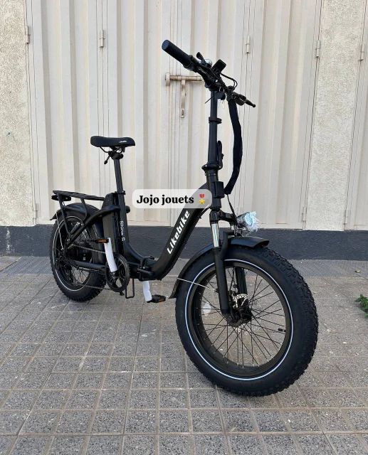 Vue 2 de Vélo Électrique SHINE S Professional Focus Pliable 48V - LIKEBIKE