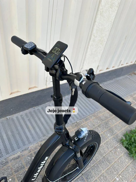 Vue 8 de Vélo Électrique SHINE S Professional Focus Pliable 48V - LIKEBIKE