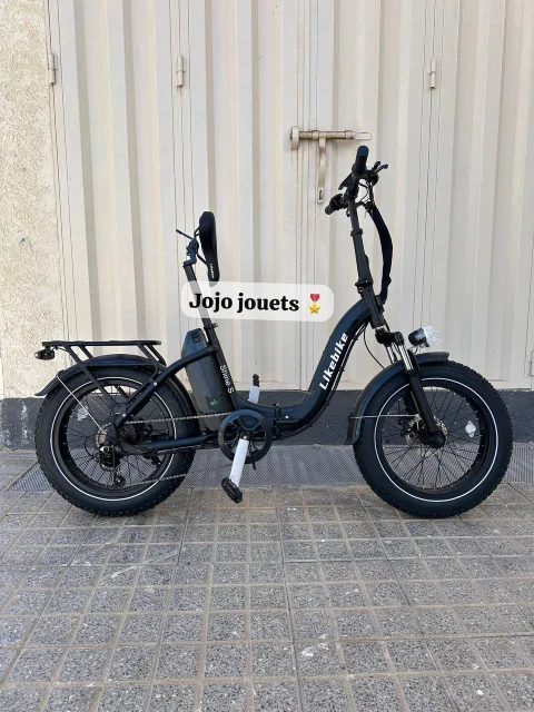 Vue 9 de Vélo Électrique SHINE S Professional Focus Pliable 48V - LIKEBIKE
