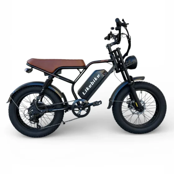 Vue 1 de Vélo Électrique U11 HARLEY Professional 48V 750W – LIKEBIKE