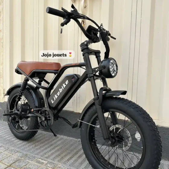 Vue 2 de Vélo Électrique U11 HARLEY Professional 48V 750W – LIKEBIKE