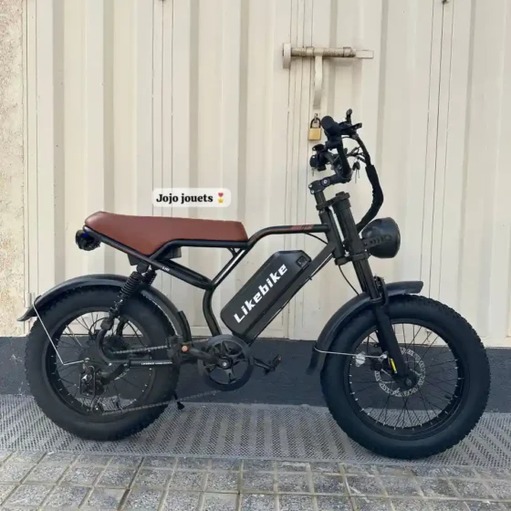 Vue 3 de Vélo Électrique U11 HARLEY Professional 48V 750W – LIKEBIKE
