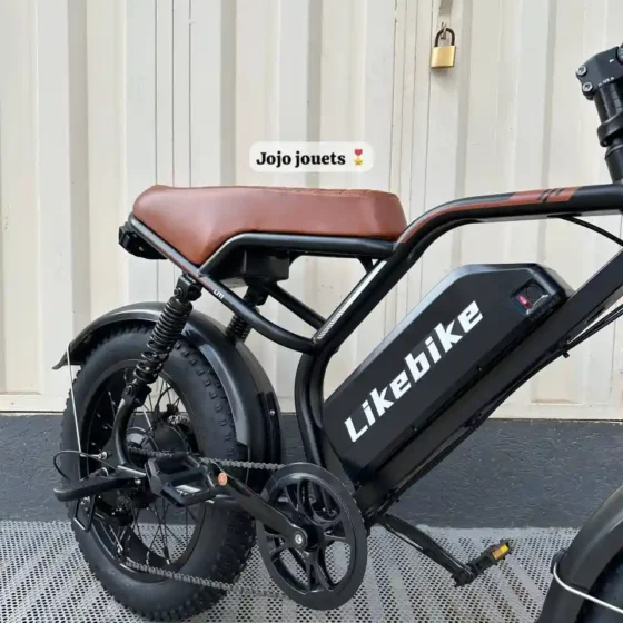 Vue 6 de Vélo Électrique U11 HARLEY Professional 48V 750W – LIKEBIKE