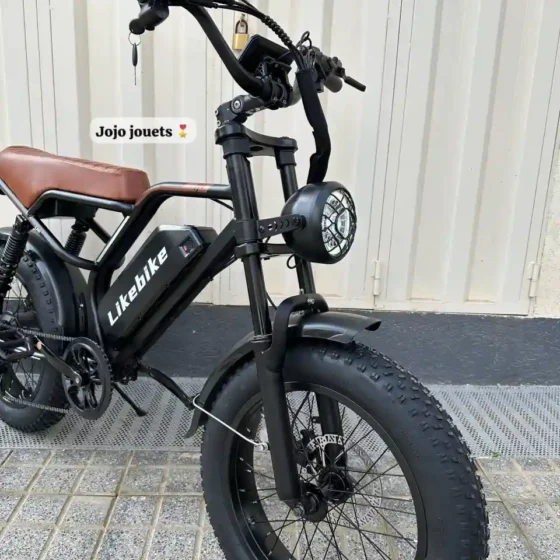 Vue 7 de Vélo Électrique U11 HARLEY Professional 48V 750W – LIKEBIKE