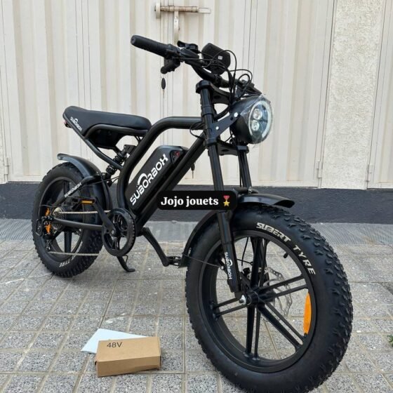 Vue 2 de Vélo Électrique K1 HARLEY 48V - SUBORBOX