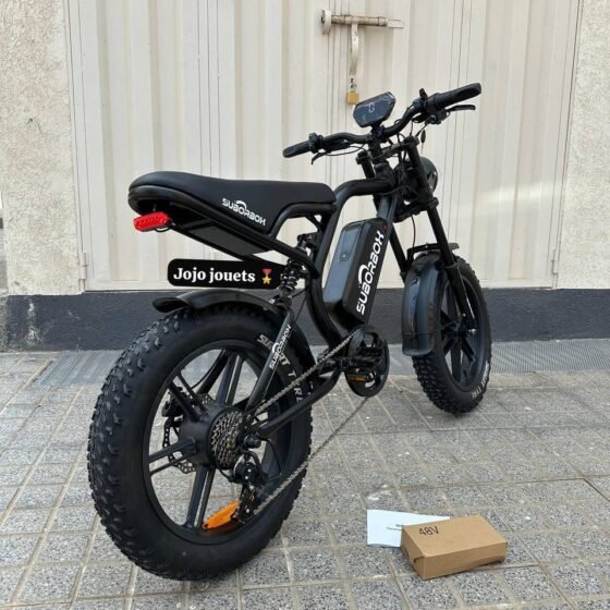 Vue 3 de Vélo Électrique K1 HARLEY 48V - SUBORBOX