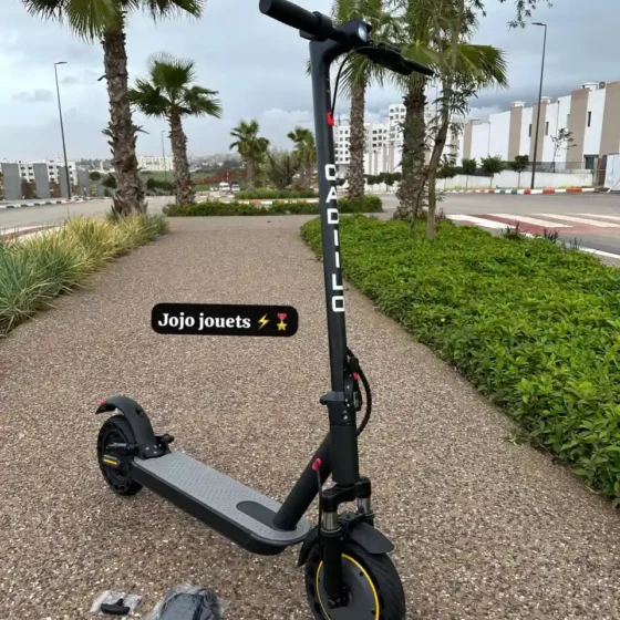 Vue 2 de Trottinette Électrique AOVOPRO Tmax - CADIILO