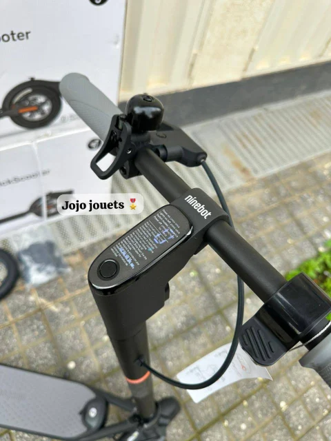 Vue 6 de Trottinette Électrique Ninebot F25E - SEGWAY
