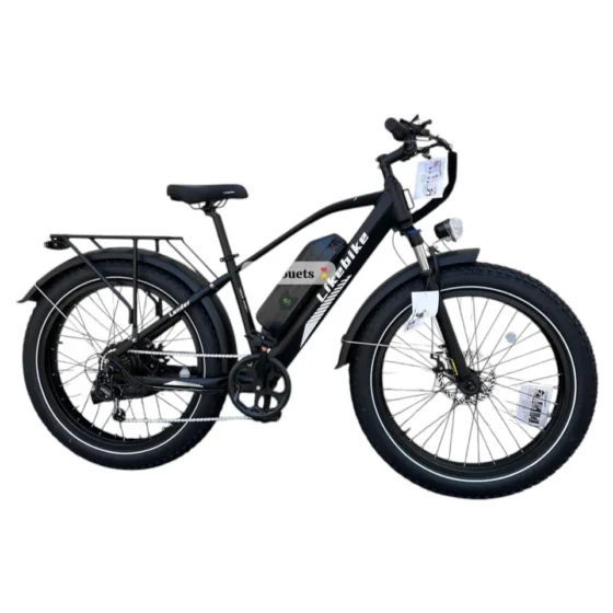 Vue 1 de Vélo Électrique Likebike Lander Ebike Pro 48V