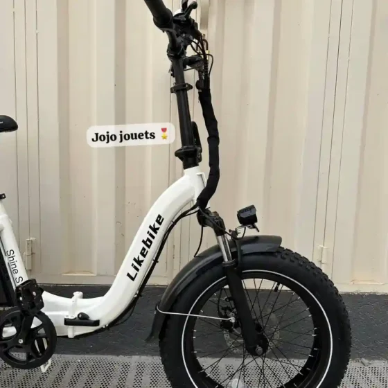 Vue 11 de Vélo Électrique SHINE S PRO Ebike Pliable 48V - LIKEBIKE