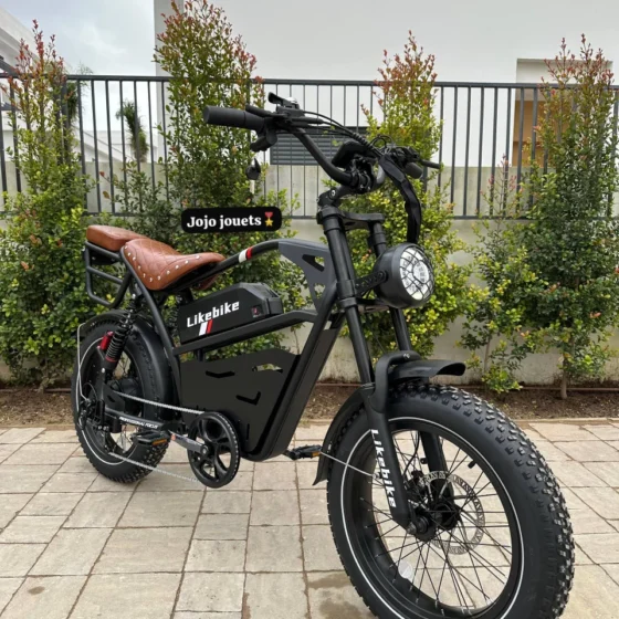 Vue 2 de Vélo Électrique U9 Pro HARLEY Professional 48V 750W – LIKEBIKE