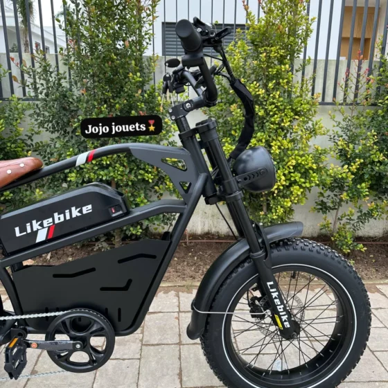 Vue 6 de Vélo Électrique U9 Pro HARLEY Professional 48V 750W – LIKEBIKE
