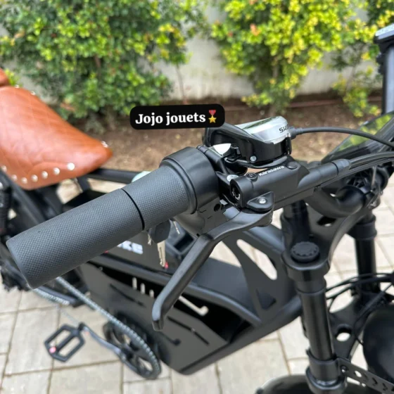 Vue 8 de Vélo Électrique U9 Pro HARLEY Professional 48V 750W – LIKEBIKE