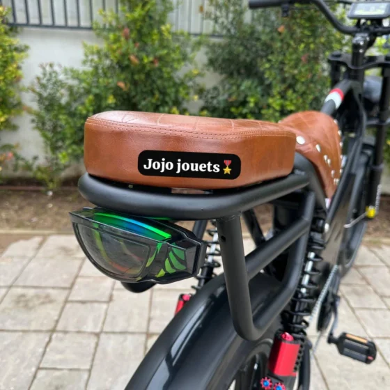 Vue 10 de Vélo Électrique U9 Pro HARLEY Professional 48V 750W – LIKEBIKE