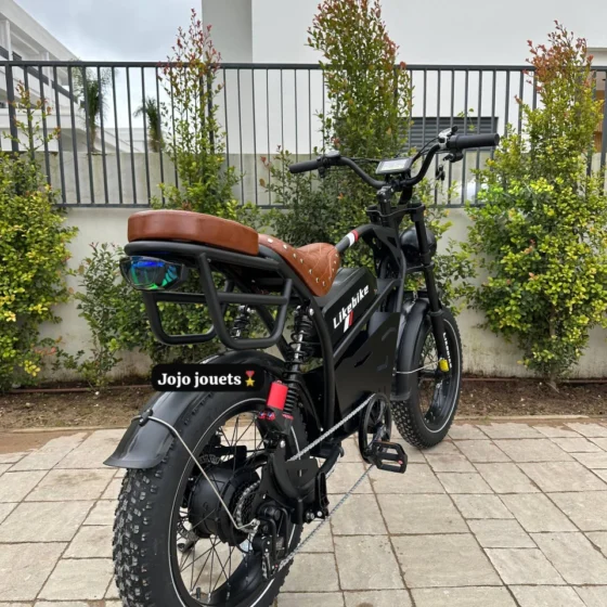 Vue 11 de Vélo Électrique U9 Pro HARLEY Professional 48V 750W – LIKEBIKE