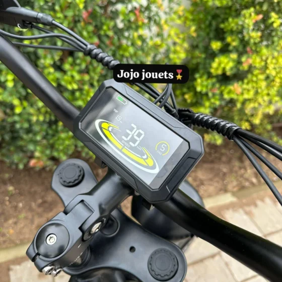 Vue 13 de Vélo Électrique U9 Pro HARLEY Professional 48V 750W – LIKEBIKE
