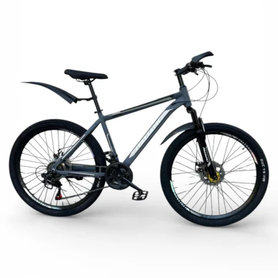 Vue 1 de Vélo VTT ALUMINIUM ITALIANO GTR 26 Pouces