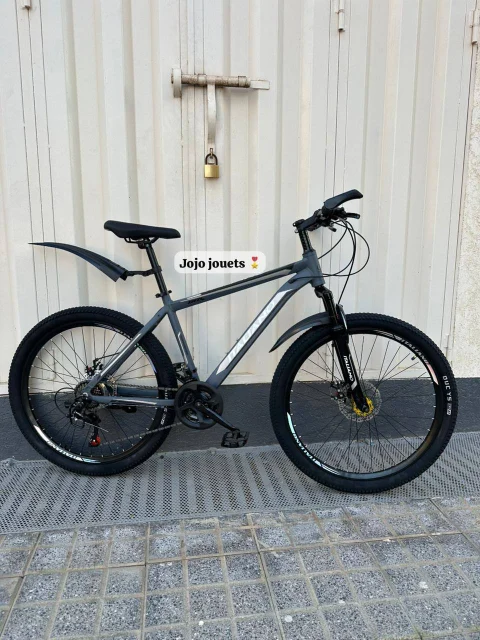 Vue 2 de Vélo VTT ALUMINIUM ITALIANO GTR 26 Pouces