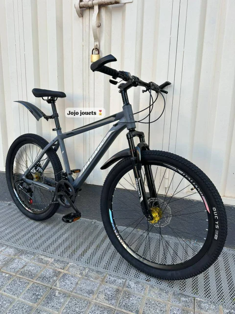 Vue 4 de Vélo VTT ALUMINIUM ITALIANO GTR 26 Pouces