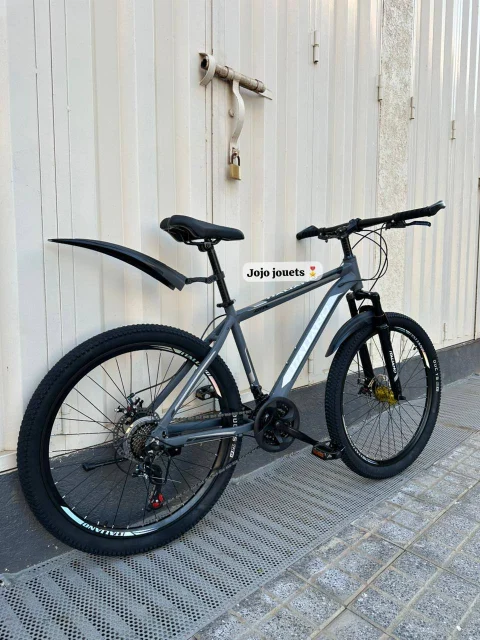 Vue 5 de Vélo VTT ALUMINIUM ITALIANO GTR 26 Pouces
