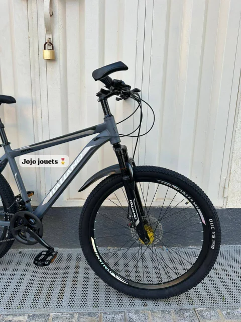 Vue 8 de Vélo VTT ALUMINIUM ITALIANO GTR 26 Pouces