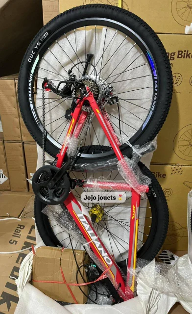 Vue 10 de Vélo VTT ALUMINIUM ITALIANO GTR 26 Pouces