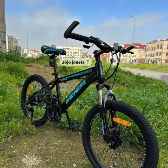 Vue 10 de Vélo VTT HAOMENG 20 POUCES