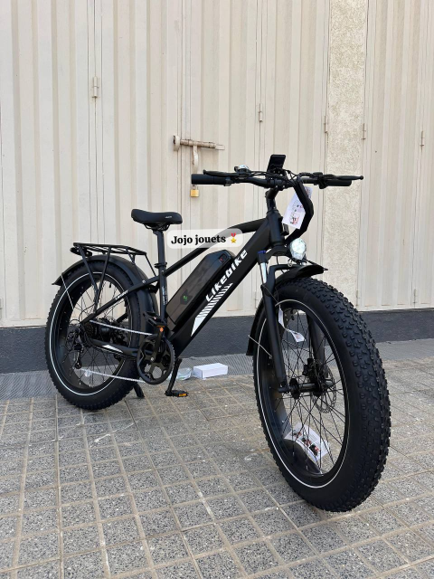 Vue 8 de Vélo Électrique Likebike Lander Ebike Pro 48V