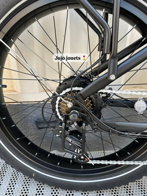 Vue 9 de Vélo Électrique Likebike Lander Ebike Pro 48V