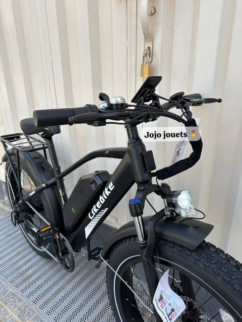 Vue 11 de Vélo Électrique Likebike Lander Ebike Pro 48V