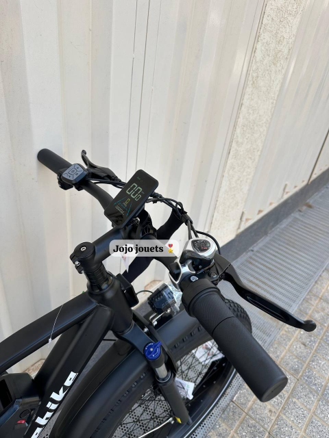 Vue 12 de Vélo Électrique Likebike Lander Ebike Pro 48V