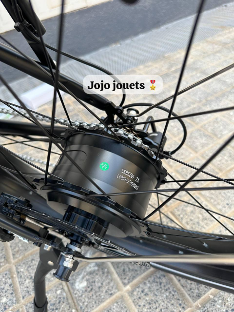 Vue 15 de Vélo Électrique Likebike Lander Ebike Pro 48V