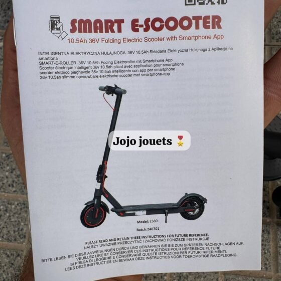 Vue 13 de Trottinette Électrique AOVOPRO ES80 36V